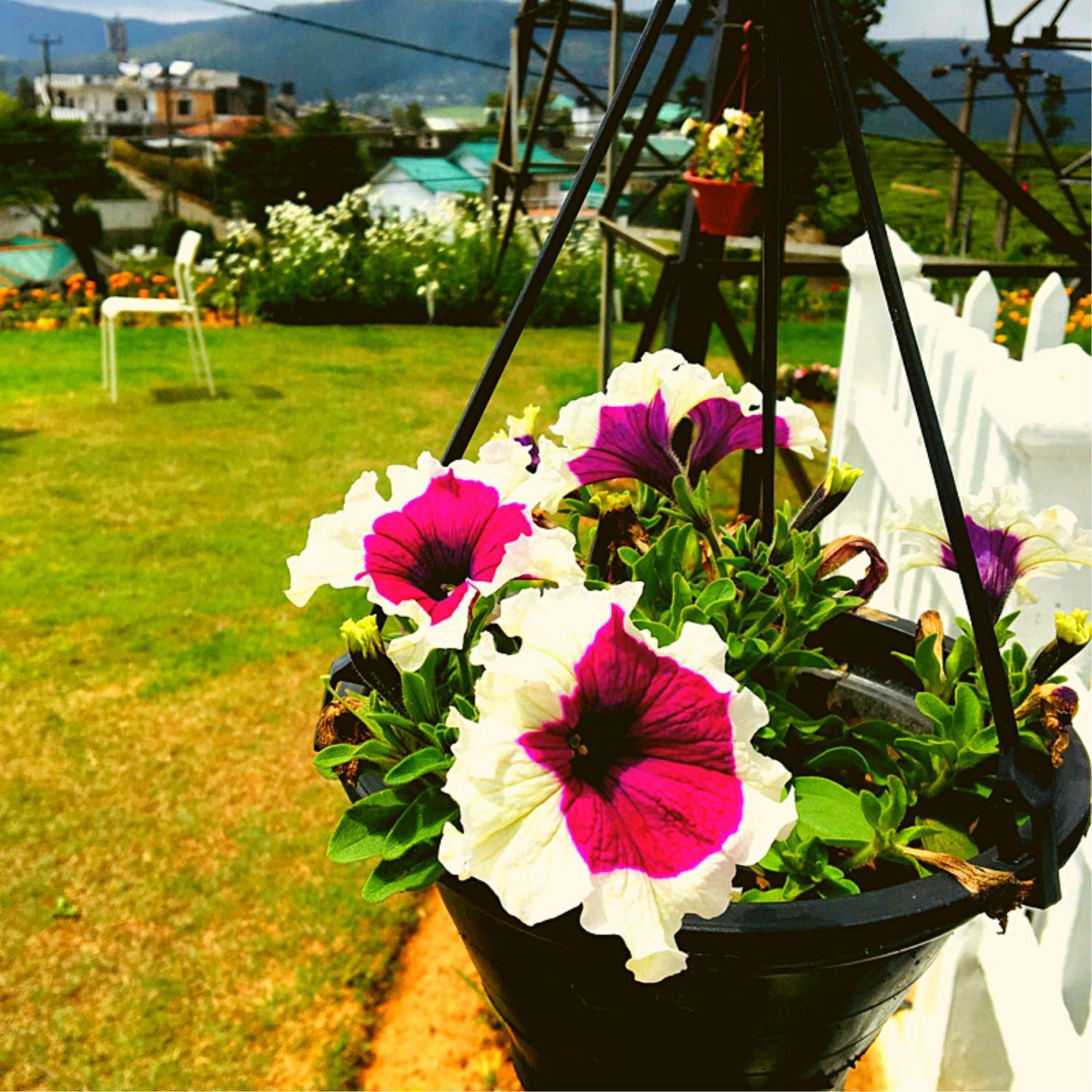 Thuring'S Holiday Bungalow Nuwara Eliya Kültér fotó